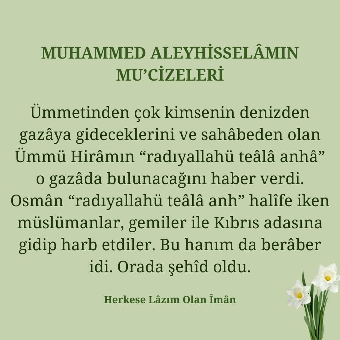 Mucizeleri (23)